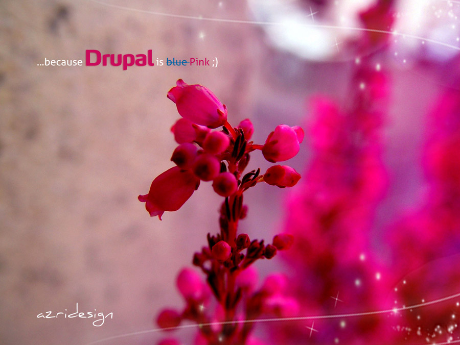 What is Drupal CMS? What is Drupal CMS?