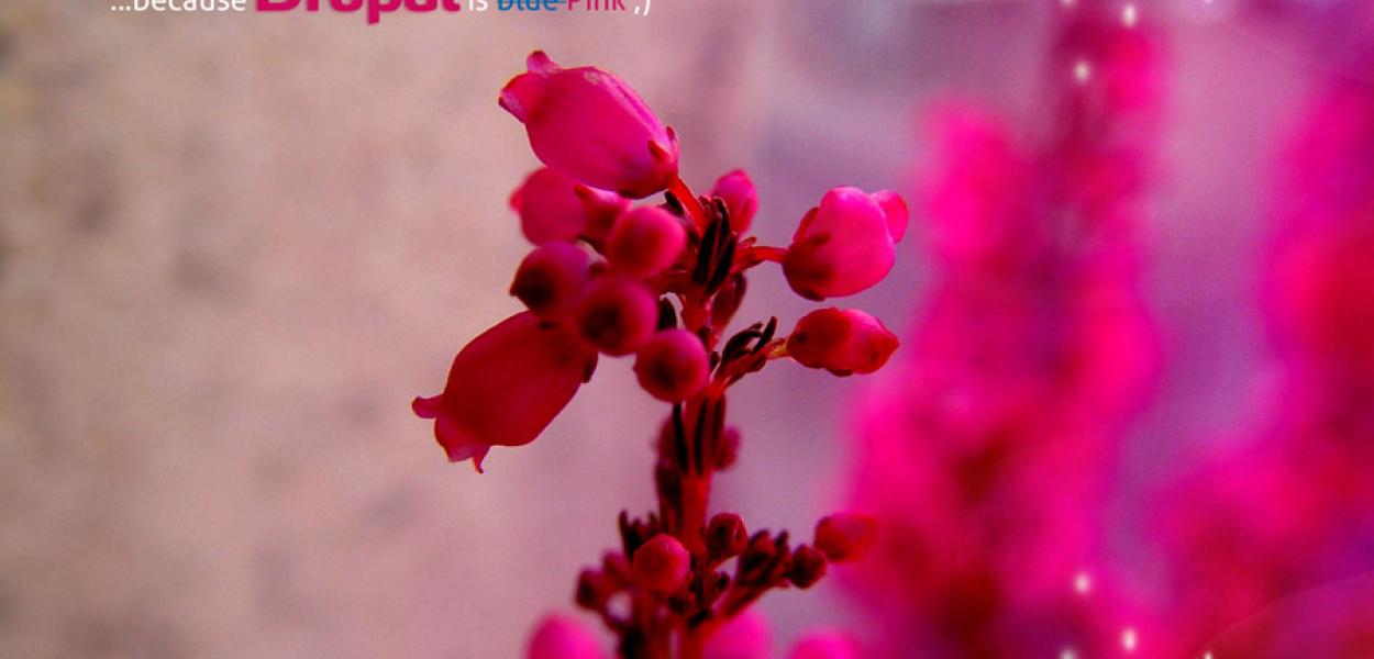 Top Most Beautiful Drupal based Websites of 2012